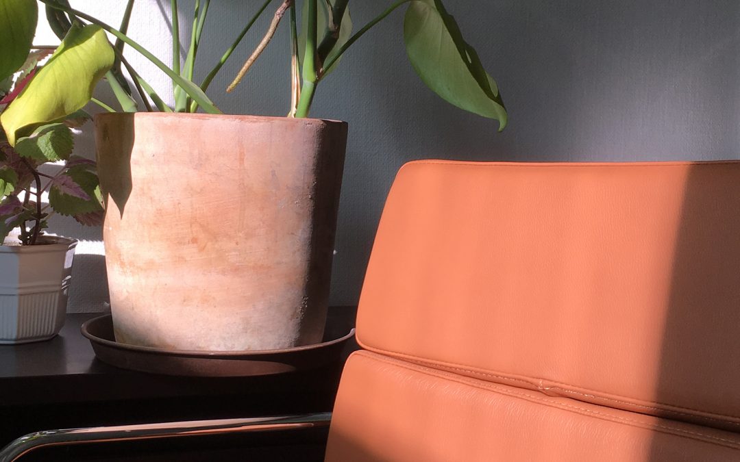 Designing a Practical Modern Office