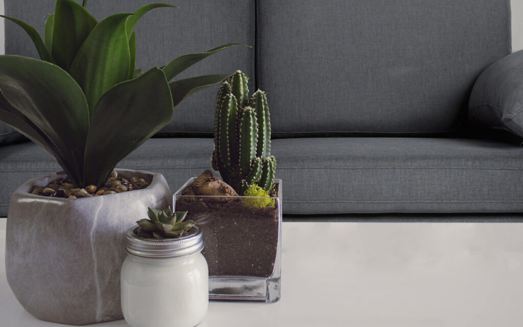 grey-sofa-with-plants