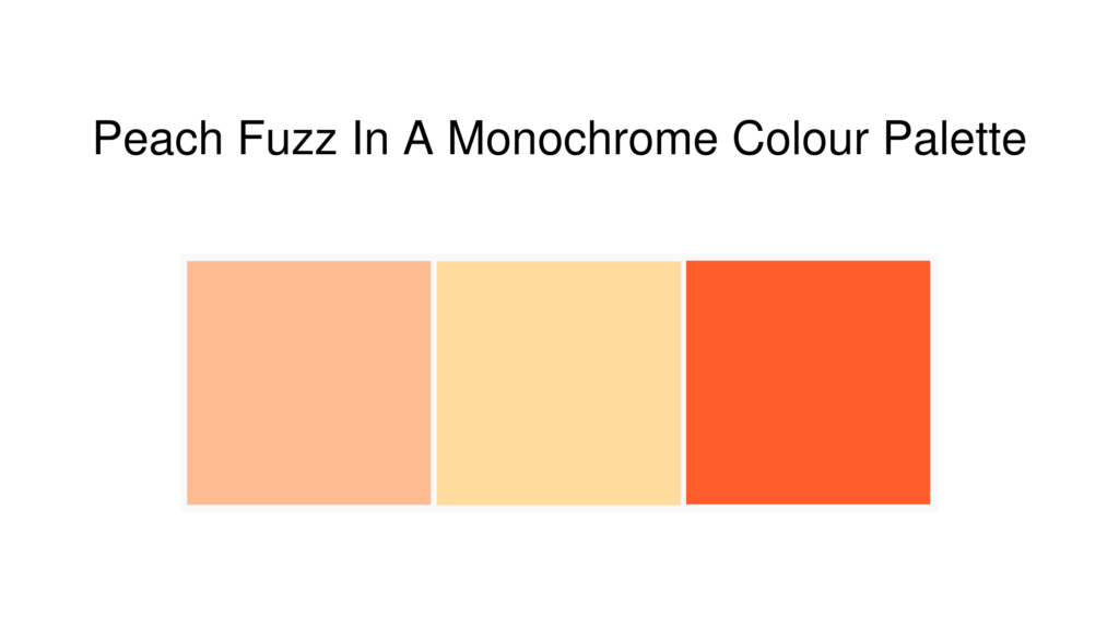 peach-fuzz-monochrome