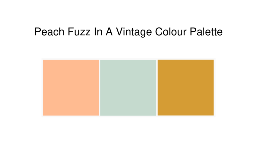 peach-fuzz-vintage