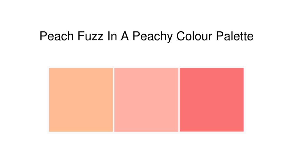 peach-fuzz-peachy