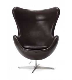 Wingback Armchair Leather Dark Brown Front View